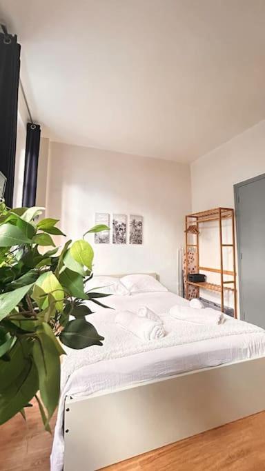 Apartamento Le Cocon Montauban Exterior foto